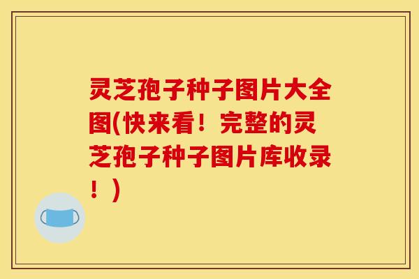 灵芝孢子种子图片大全图(快来看!完整的灵芝孢子种子图片库收录!) 灵芝孢子种子图片大全图(快来看!完整的灵芝孢子种子图片库收录!)