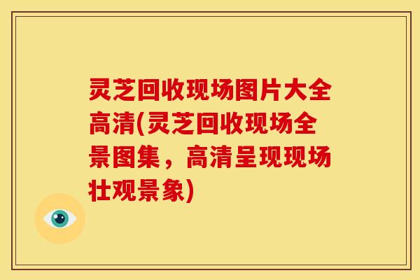 灵芝回收现场图片大全高清(灵芝回收现场全景图集,高清呈现现场壮观景象) 灵芝回收现场图片大全高清(灵芝回收现场全景图集,高清呈现现场壮观景象)