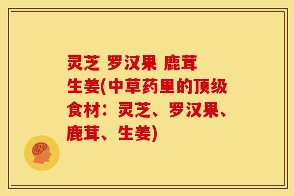 灵芝 罗汉果 鹿茸 生姜(中草药里的食材:灵芝、罗汉果、鹿茸、生姜) 灵芝 罗汉果 鹿茸 生姜(中草药里的食材:灵芝、罗汉果、鹿茸、生姜)