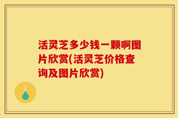 活灵芝多少钱一颗啊图片欣赏(活灵芝价格查询及图片欣赏) 活灵芝多少钱一颗啊图片欣赏(活灵芝价格查询及图片欣赏)
