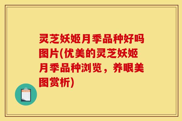灵芝妖姬月季品种好吗图片(优美的灵芝妖姬月季品种浏览,养眼美图赏析) 灵芝妖姬月季品种好吗图片(优美的灵芝妖姬月季品种浏览,养眼美图赏析)