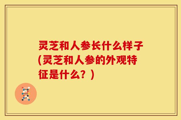 灵芝和人参长什么样子(灵芝和人参的外观特征是什么?) 灵芝和人参长什么样子(灵芝和人参的外观特征是什么?)