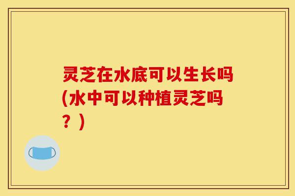 灵芝在水底可以生长吗(水中可以种植灵芝吗?) 灵芝在水底可以生长吗(水中可以种植灵芝吗?)
