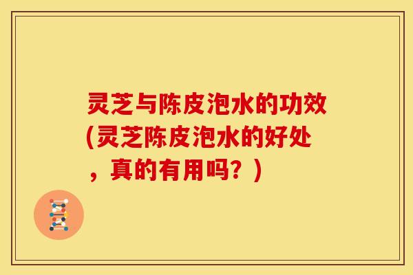灵芝与陈皮泡水的功效(灵芝陈皮泡水的好处,真的有用吗?) 灵芝与陈皮泡水的功效(灵芝陈皮泡水的好处,真的有用吗?)