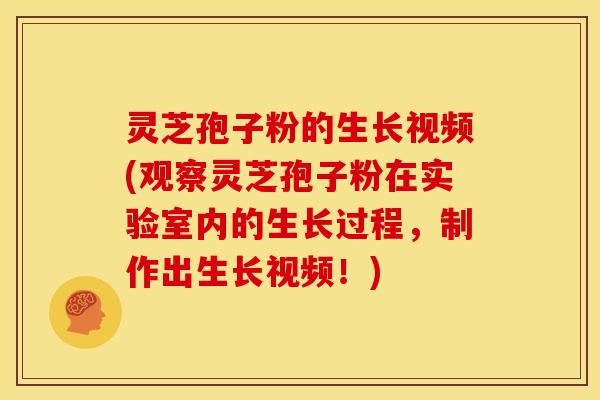 灵芝孢子粉的生长视频(观察灵芝孢子粉在实验室内的生长过程,制作出生长视频!) 灵芝孢子粉的生长视频(观察灵芝孢子粉在实验室内的生长过程,制作出生长视频!)