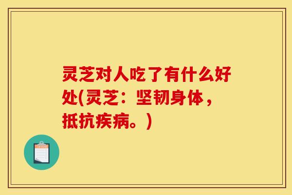 灵芝对人吃了有什么好处(灵芝:坚韧身体,抵抗。) 灵芝对人吃了有什么好处(灵芝:坚韧身体,抵抗。)