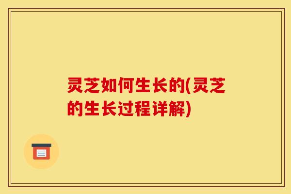 灵芝如何生长的(灵芝的生长过程详解) 灵芝如何生长的(灵芝的生长过程详解)
