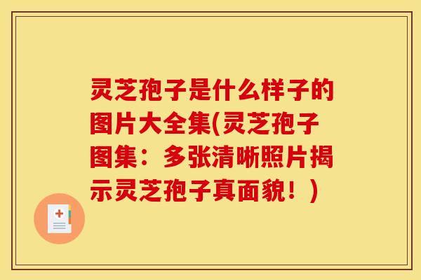 灵芝孢子是什么样子的图片大全集(灵芝孢子图集:多张清晰照片揭示灵芝孢子真面貌!) 灵芝孢子是什么样子的图片大全集(灵芝孢子图集:多张清晰照片揭示灵芝孢子真面貌!)
