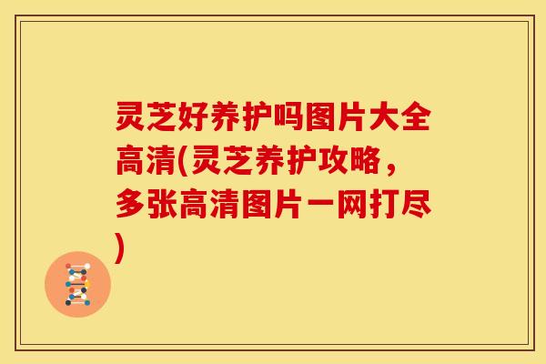 灵芝好养护吗图片大全高清(灵芝养护攻略,多张高清图片一网打尽) 灵芝好养护吗图片大全高清(灵芝养护攻略,多张高清图片一网打尽)