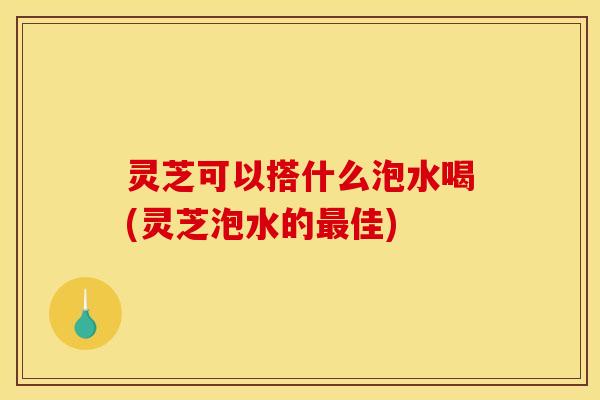 灵芝可以搭什么泡水喝(灵芝泡水的佳)