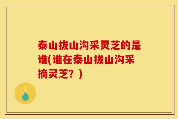 泰山拔山沟采灵芝的是谁(谁在泰山拔山沟采摘灵芝?) 泰山拔山沟采灵芝的是谁(谁在泰山拔山沟采摘灵芝?)
