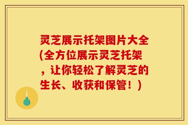 灵芝展示托架图片大全(全方位展示灵芝托架,让你轻松了解灵芝的生长、收获和保管!) 灵芝展示托架图片大全(全方位展示灵芝托架,让你轻松了解灵芝的生长、收获和保管!)