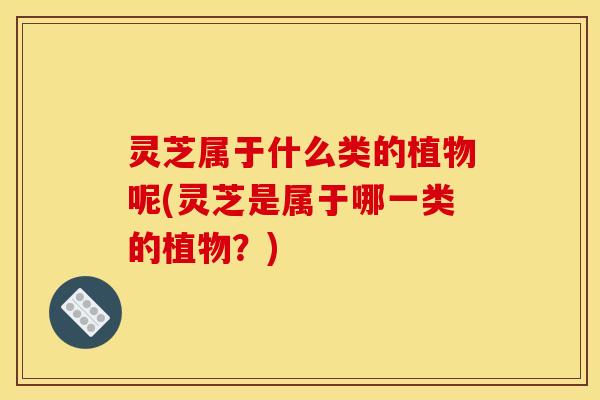 灵芝属于什么类的植物呢(灵芝是属于哪一类的植物？)