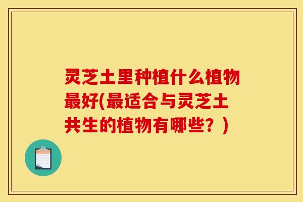 灵芝土里种植什么植物好(适合与灵芝土共生的植物有哪些?) 灵芝土里种植什么植物好(适合与灵芝土共生的植物有哪些?)