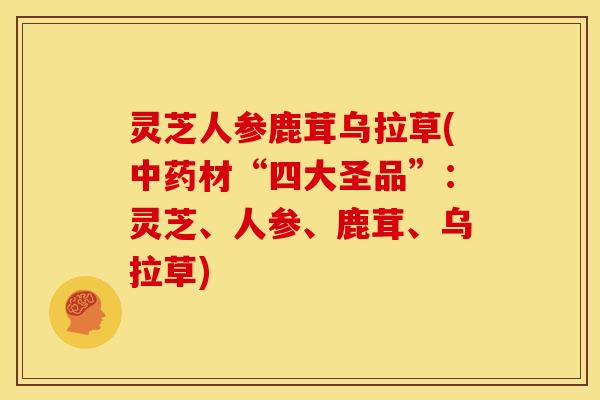 灵芝人参鹿茸乌拉草(材“四大圣品”:灵芝、人参、鹿茸、乌拉草) 灵芝人参鹿茸乌拉草(材“四大圣品”:灵芝、人参、鹿茸、乌拉草)