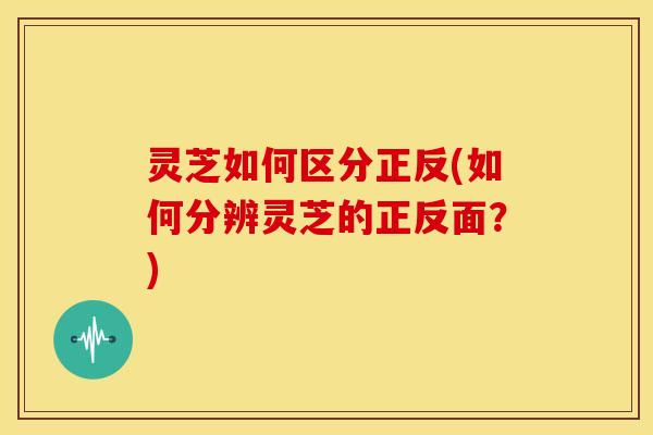 灵芝如何区分正反(如何分辨灵芝的正反面?) 灵芝如何区分正反(如何分辨灵芝的正反面?)