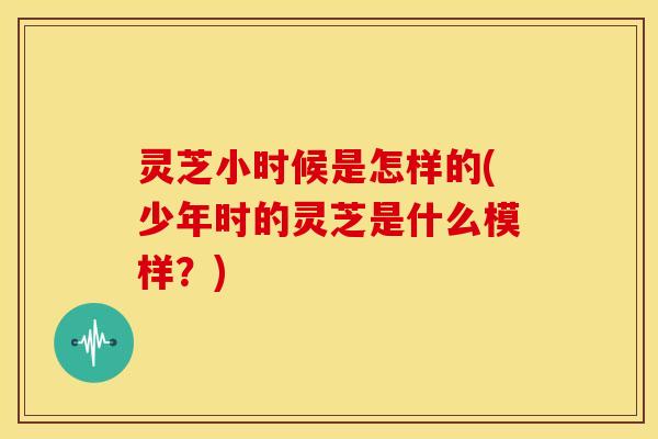 灵芝小时候是怎样的(少年时的灵芝是什么模样?) 灵芝小时候是怎样的(少年时的灵芝是什么模样?)