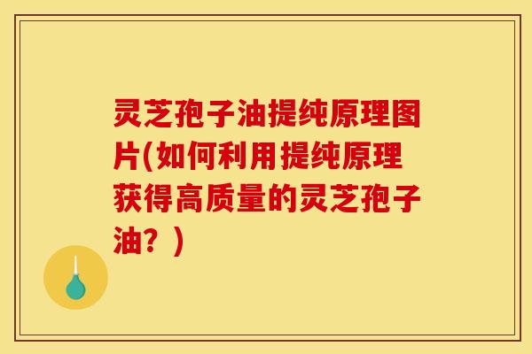 灵芝孢子油提纯原理图片(如何利用提纯原理获得高质量的灵芝孢子油？)