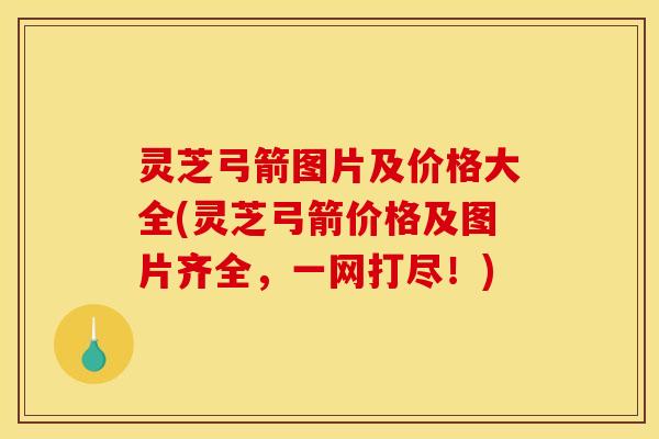 灵芝弓箭图片及价格大全(灵芝弓箭价格及图片齐全,一网打尽!) 灵芝弓箭图片及价格大全(灵芝弓箭价格及图片齐全,一网打尽!)