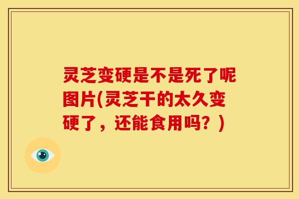 灵芝变硬是不是死了呢图片(灵芝干的太久变硬了，还能食用吗？)