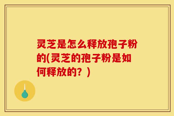 灵芝是怎么释放孢子粉的(灵芝的孢子粉是如何释放的?) 灵芝是怎么释放孢子粉的(灵芝的孢子粉是如何释放的?)