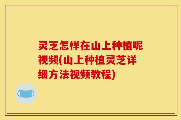 灵芝怎样在山上种植呢视频(山上种植灵芝详细方法视频教程) 灵芝怎样在山上种植呢视频(山上种植灵芝详细方法视频教程)