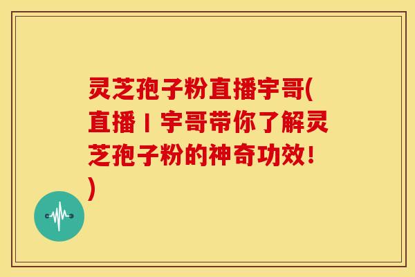 灵芝孢子粉直播宇哥(直播丨宇哥带你了解灵芝孢子粉的神奇功效！)