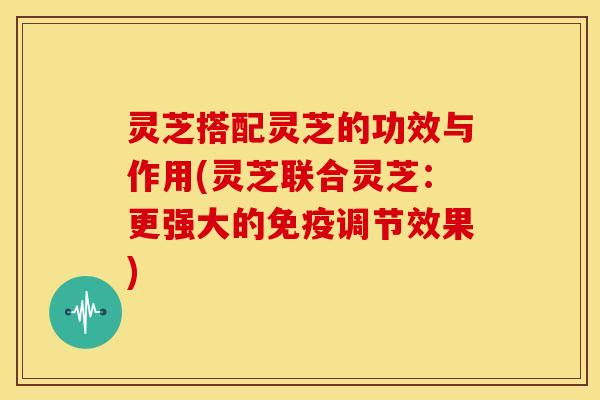 灵芝搭配灵芝的功效与作用(灵芝联合灵芝:更强大的免疫调节效果) 灵芝搭配灵芝的功效与作用(灵芝联合灵芝:更强大的免疫调节效果)