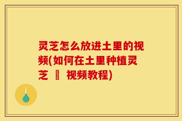 灵芝怎么放进土里的视频(如何在土里种植灵芝 – 视频教程) 灵芝怎么放进土里的视频(如何在土里种植灵芝 – 视频教程)