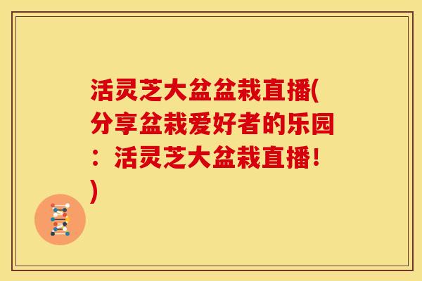 活灵芝大盆盆栽直播(分享盆栽爱好者的乐园:活灵芝大盆栽直播!) 活灵芝大盆盆栽直播(分享盆栽爱好者的乐园:活灵芝大盆栽直播!)