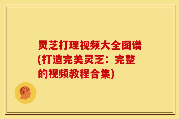 灵芝打理视频大全图谱(打造完美灵芝：完整的视频教程合集)