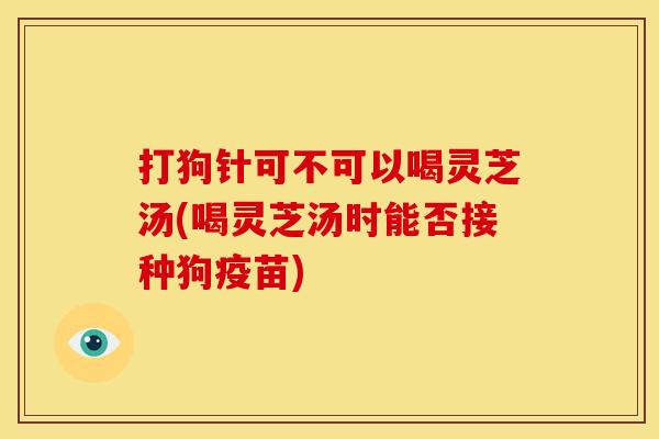 打狗针可不可以喝灵芝汤(喝灵芝汤时能否接种狗疫苗) 打狗针可不可以喝灵芝汤(喝灵芝汤时能否接种狗疫苗)