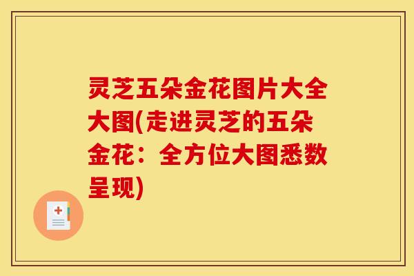 灵芝五朵金花图片大全大图(走进灵芝的五朵金花:全方位大图悉数呈现) 灵芝五朵金花图片大全大图(走进灵芝的五朵金花:全方位大图悉数呈现)