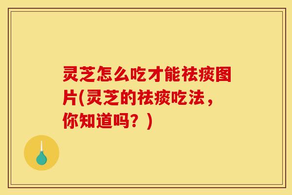 灵芝怎么吃才能图片(灵芝的吃法，你知道吗？)