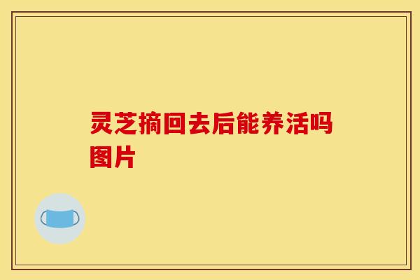 灵芝摘回去后能养活吗图片 灵芝摘回去后能养活吗图片