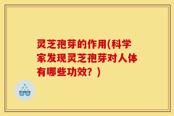 灵芝孢芽的作用(科学家发现灵芝孢芽对人体有哪些功效?) 灵芝孢芽的作用(科学家发现灵芝孢芽对人体有哪些功效?)