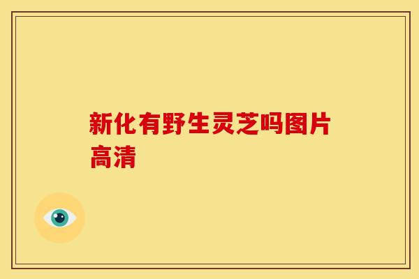 新化有野生灵芝吗图片高清 新化有野生灵芝吗图片高清