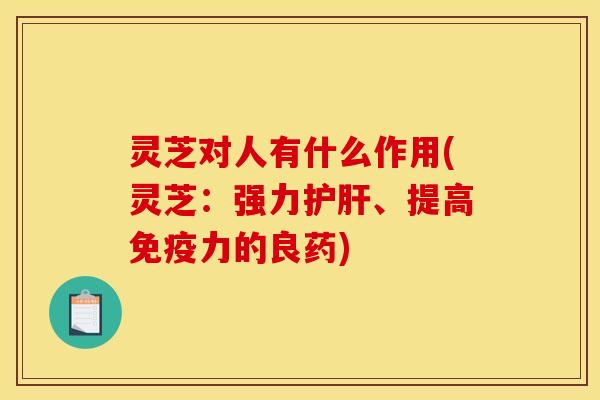 灵芝对人有什么作用(灵芝：强力、提高免疫力的良药)