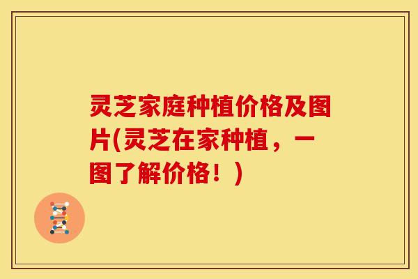 灵芝家庭种植价格及图片(灵芝在家种植,一图了解价格!) 灵芝家庭种植价格及图片(灵芝在家种植,一图了解价格!)
