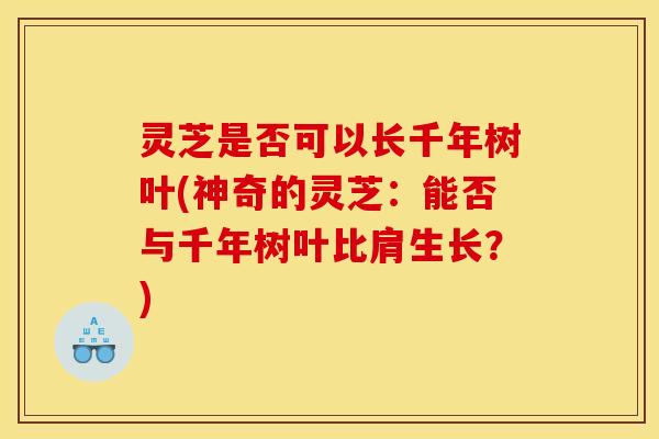 灵芝是否可以长千年树叶(神奇的灵芝:能否与千年树叶比肩生长?) 灵芝是否可以长千年树叶(神奇的灵芝:能否与千年树叶比肩生长?)
