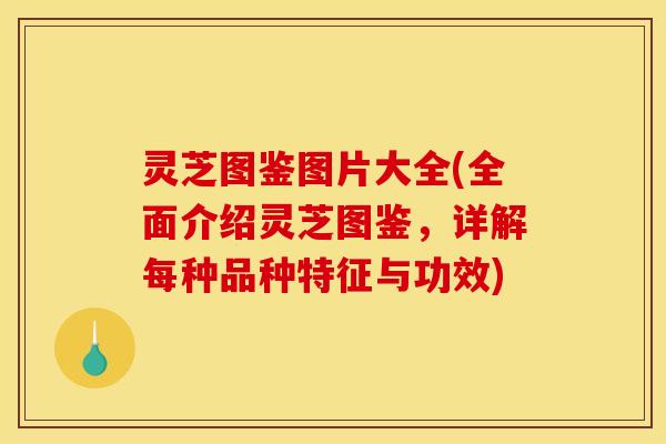 灵芝图鉴图片大全(全面介绍灵芝图鉴，详解每种品种特征与功效)