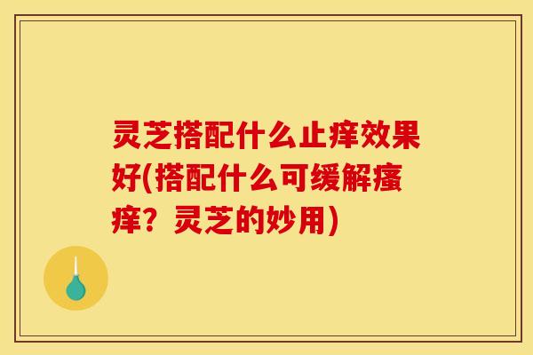 灵芝搭配什么止痒效果好(搭配什么可缓解？灵芝的妙用)
