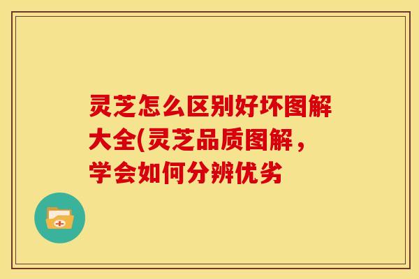 灵芝怎么区别好坏图解大全(灵芝品质图解,学会如何分辨优劣 灵芝怎么区别好坏图解大全(灵芝品质图解,学会如何分辨优劣
