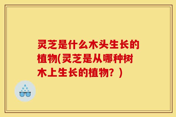 灵芝是什么木头生长的植物(灵芝是从哪种树木上生长的植物?) 灵芝是什么木头生长的植物(灵芝是从哪种树木上生长的植物?)