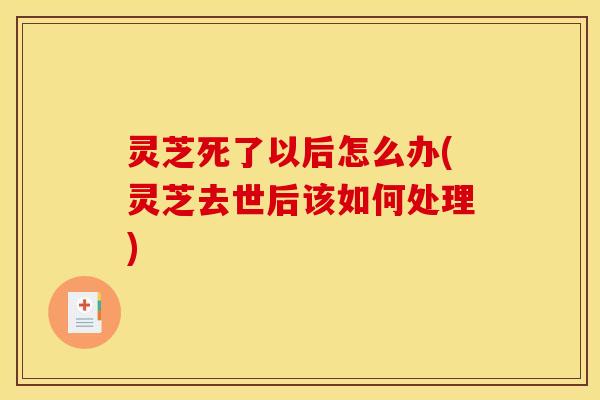 灵芝死了以后怎么办(灵芝去世后该如何处理) 灵芝死了以后怎么办(灵芝去世后该如何处理)