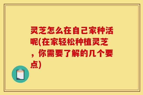灵芝怎么在自己家种活呢(在家轻松种植灵芝,你需要了解的几个要点) 灵芝怎么在自己家种活呢(在家轻松种植灵芝,你需要了解的几个要点)