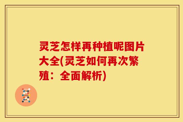 灵芝怎样再种植呢图片大全(灵芝如何再次繁殖：全面解析)