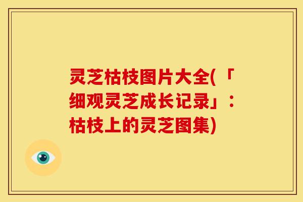 灵芝枯枝图片大全(「细观灵芝成长记录」:枯枝上的灵芝图集) 灵芝枯枝图片大全(「细观灵芝成长记录」:枯枝上的灵芝图集)