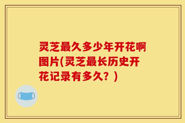 灵芝久多少年开花啊图片(灵芝长历史开花记录有多久?) 灵芝久多少年开花啊图片(灵芝长历史开花记录有多久?)