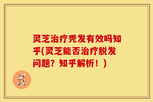 灵芝秃发有效吗知乎(灵芝能否问题?知乎解析!) 灵芝秃发有效吗知乎(灵芝能否问题?知乎解析!)